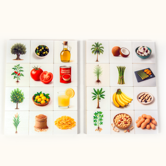 VEGETABLES FOOD ORIGIN