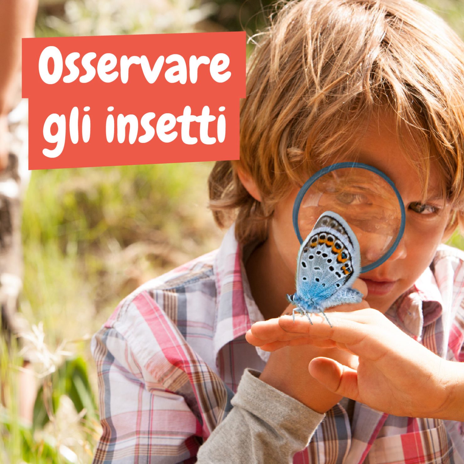 My First Science Kit - immagine 7