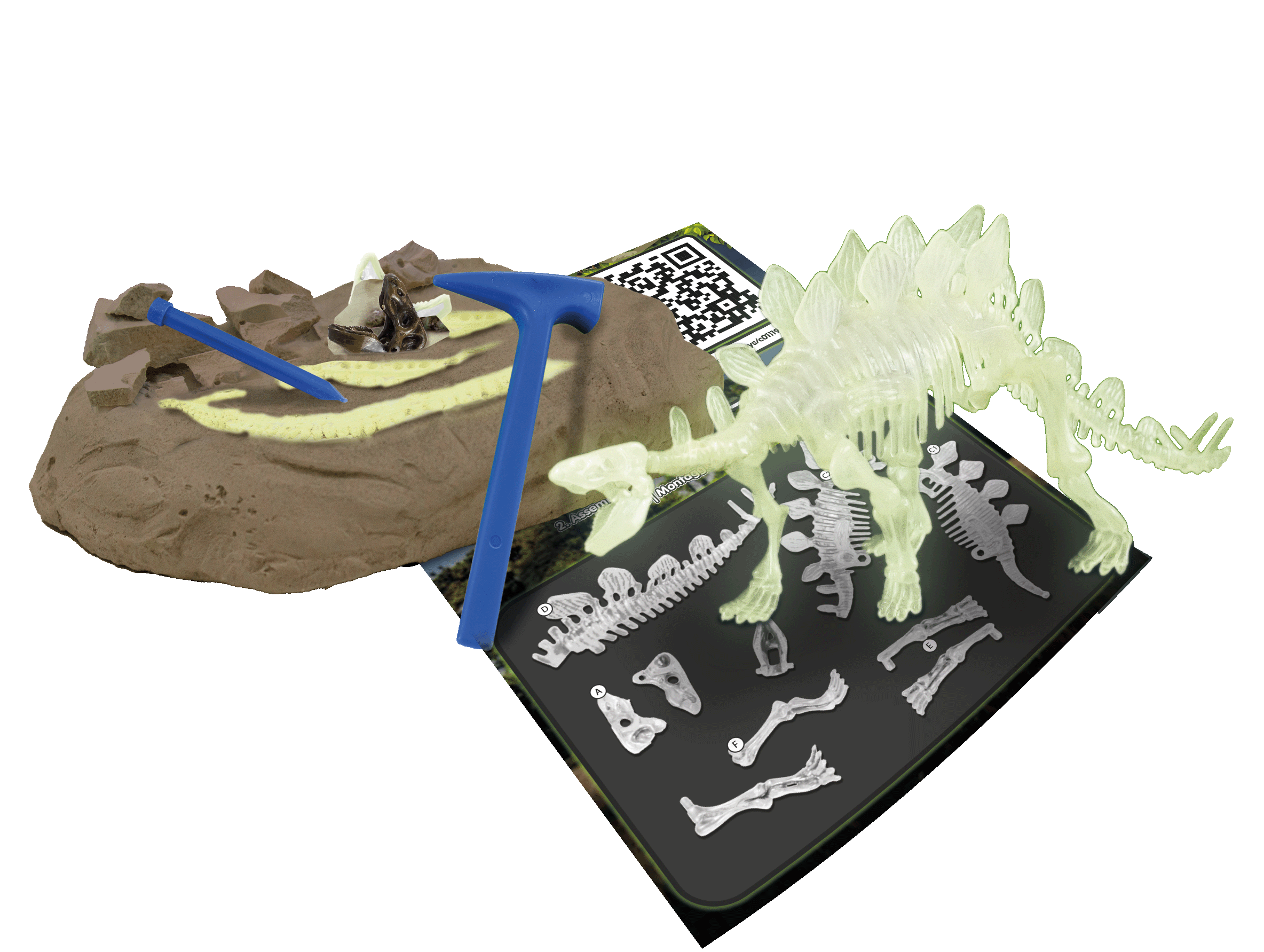 Excav StegossaurusGID - immagine 2