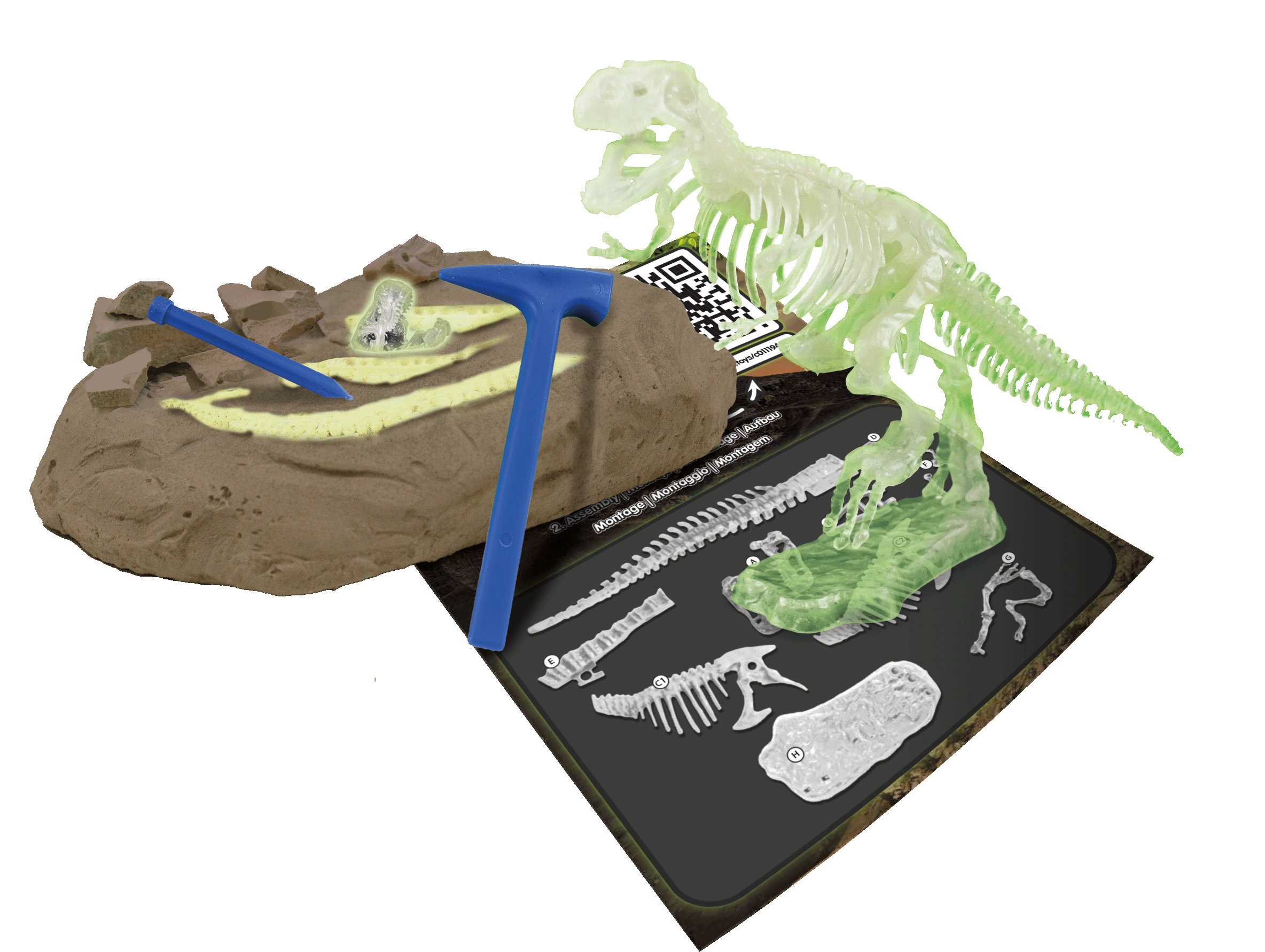 Excav S4y T-Rex GID S MultiE - immagine 2