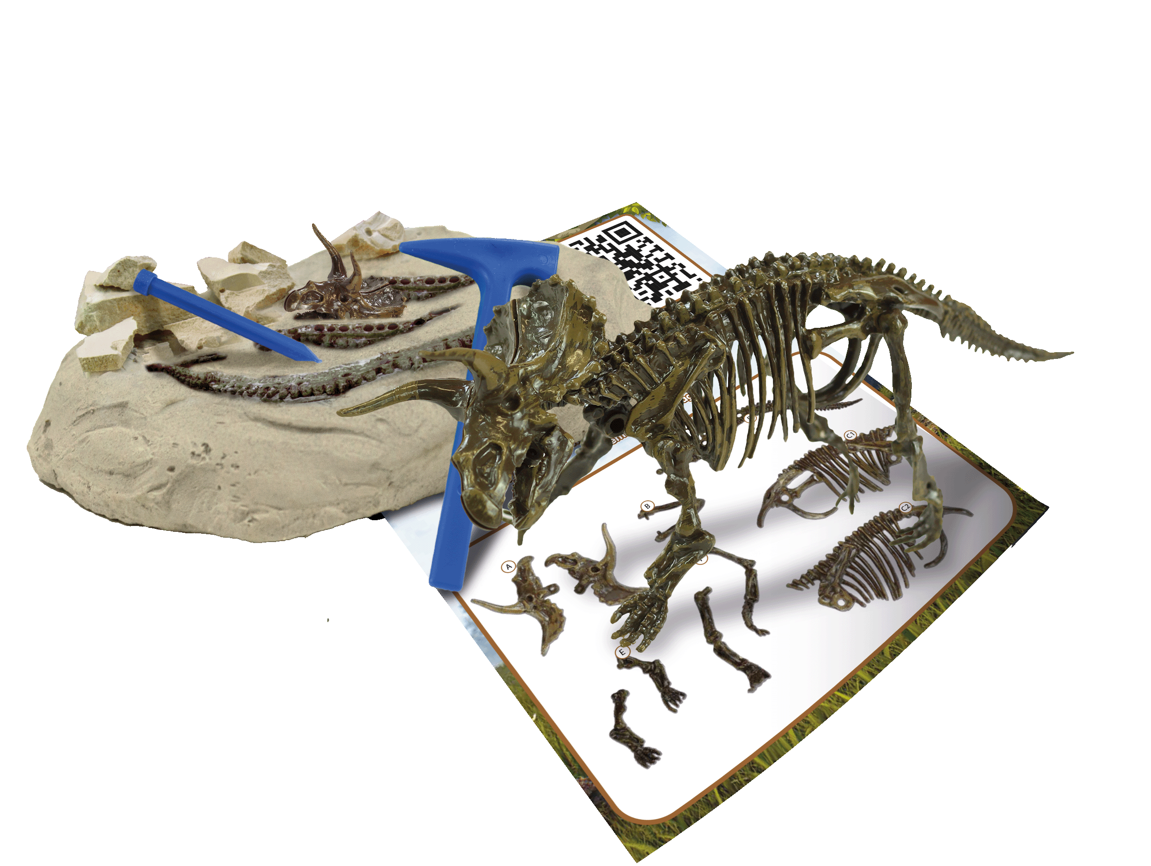 Excav Triceratops - immagine 2